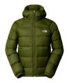 The North Face Hydrenalite Down Hoody Grün - gruen