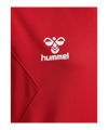 Hummel Authentic Pl Hoody Kids Rot F3062 - rot