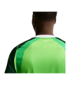 Nike NFF Nigeria Trikot Home WM 2026 Grün F302 - gruen
