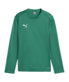 PUMA teamGOAL Training Sweatshirt Kids Grün F05