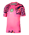 Nike NFF Nigeria Torwarttrikot WM 2026 Rosa F645 - rosa