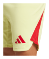 adidas Tiro 25 Pro Torwartshort Lila - gelb
