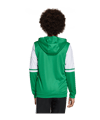 adidas Squadra 25 Kapuzenjacke Kids Grün - gruen
