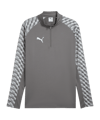 PUMA teamLIGA26 Training 1/4 Zip Top Grau F13