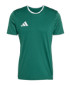 adidas Entrada 26 Trikot Grün