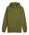 PUMA Better Essentials Hoody Grün F033 - gruen