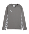 PUMA teamLIGA26 Training Sweatshirt Kids Grau F13