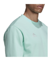 adidas Entrada 22 Sweatshirt Türkis - tuerkis
