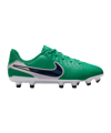 Nike Legend 10 Academy LV8 FG/MG Fear Nothing Kids Grün F300 - gruen