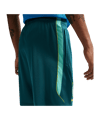 Nike CBF Brasilien Strike Short Grün F381 - gruen