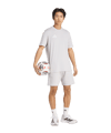 adidas Entrada 26 Short Grau - grau