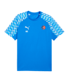 PUMA teamLIGA26 Trikot Blau F02