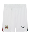 PUMA Rapid Wien Short Kids Weiss F02