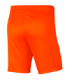 Nike Park III Short Orange F819 - orange