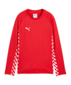 PUMA teamLIGA26 Training Sweatshirt Kids Rot F01