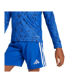 adidas Team Icon 25 Trikot langarm Kids Blau - blau