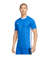 Nike Challenge V Trikot Blau Weiss F463
