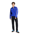 adidas AFA Argentinien Originals Jacke Blau - blau