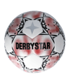 Derbystar UNITED APS v23 Spielball F132 - weiss