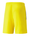 PUMA teamLIGA Short Gelb Schwarz F07 - gelb