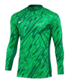 Nike Gardien V Torwarttrikot Grün F329