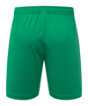 adidas Originals Fortuna Düsseldorf Torwartshort 2026/2027 Grün - gruen