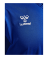 Hummel hmlAUTHENTIC PL langarm Trikot Blau F7045 - blau