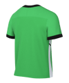 Nike Academy 25 Trainingshirt Grün F329 - gruen