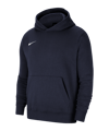 Nike Park 20 Fleece Hoody Kids Blau Weiss F451