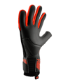KEEPERsport Champ Elite NC Dominance Torwarthandschuhe Schwarz - schwarz