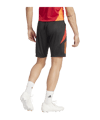 adidas Tiro 24 Competition Training Short - schwarz