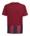 adidas Striped 24 Trikot Kids Blau - blau