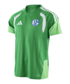 adidas FC Schalke 04 Team Trainingsshirt Grün - gruen