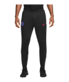 Nike Paris Saint-Germain Strike Trainingshose Schwarz F010 - schwarz