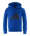 adidas FC Schalke 04 Hoody Kids Blau Blau - blau
