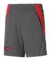PUMA X BATMAN Short Kids Grau F04 - grau