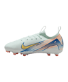 Nike Jr Air Zoom Mercurial Vapor XVI Academy FG/MG Dream Speed 9 Kids Grün Gold F300 - gruen