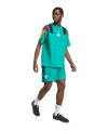adidas DFB Deutschland EQT Short Grün - gruen