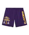 Mitchell and Ness NBA Los Angeles Lakers Team Lakers Short Lila - lila