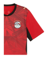PUMA EFA Ägypten Trikot Home WM 2026 Rot F01 - rot