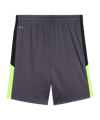 PUMA Short Kids Grau F08 Kids Grau F08 - grau