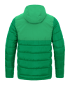 JAKO Stadion Jacke Grün F260 - gruen