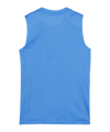 PUMA teamGOAL Tanktop Damen Blau Weiss F02 - blau
