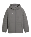 PUMA teamAdiitions Padded Kapuzenjacke Grau F13