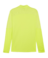 PUMA teamFINAL Training 1/4 Zip Sweatshirt F30 - tuerkis