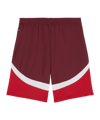 PUMA Schweiz Short EM 2024 Rot F03 - rot