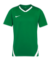 Nike Team Spike Trikot Grün F302