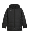 PUMA teamADDITIONS Bench Jacke Kids Schwarz F03 - schwarz