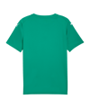 PUMA teamFINAL Graphic Trikot Grün F05 - gruen