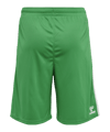 Hummel hmlCORE XK Basket Short Grün F6235 - gruen